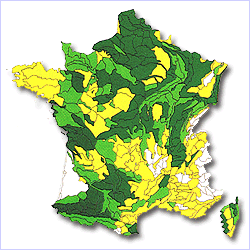 Carte boisement feuillus ou résineux